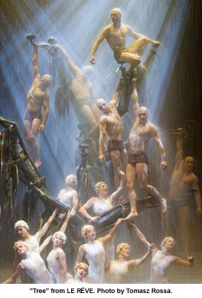 Cirque Du Soleil O Las Vegas Shows
